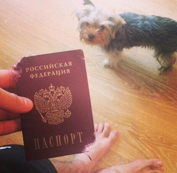 Файл:Ru-passport-01.jpg
