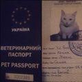 Ua-cat-passport-00.jpg