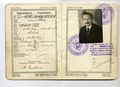 Швейцарский паспорт Эйнштейна