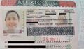 MX-Visa-00.jpg