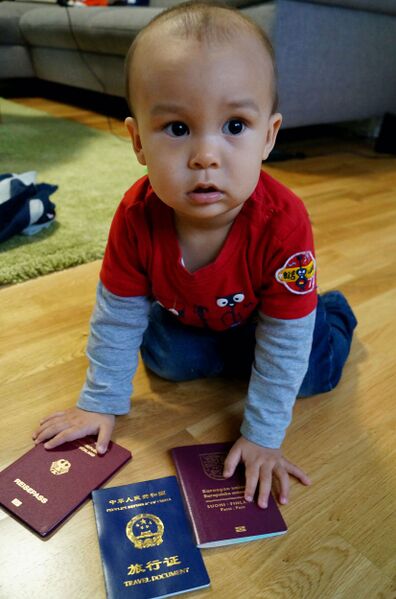 Файл:Kid-and-his-passports.jpg