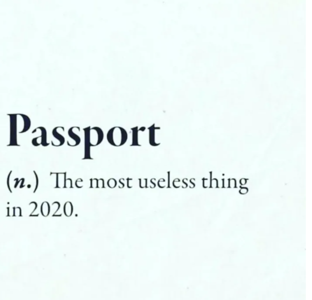 Файл:En-passport-2020-humor.png