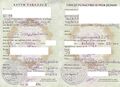 TJ-Birth-certificate-2004-02.jpg