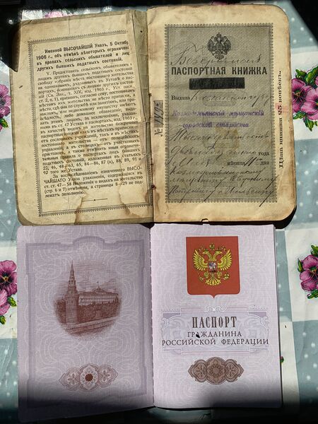 Файл:RU-RI-Passports-Differents.jpg