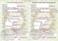 TJ-Birth-certificate-2004-01.jpg